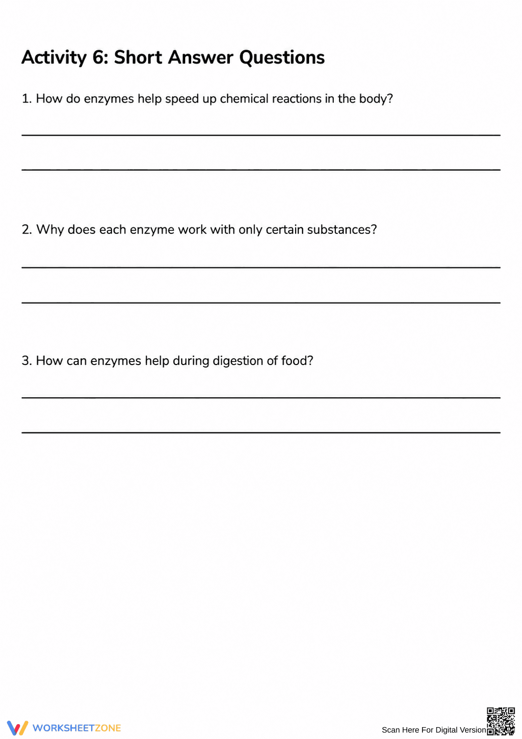 Grade 7 Enzymes — Printable No-Prep Worksheet - Page 3