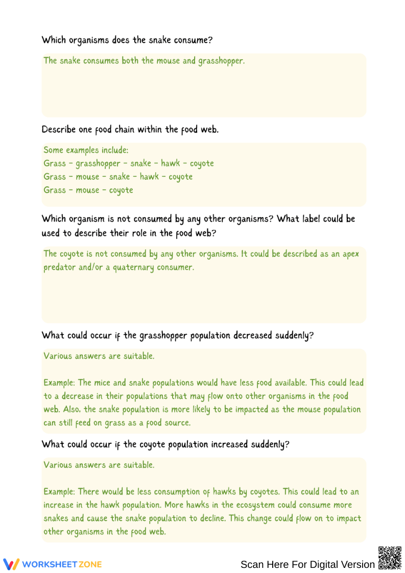 Exploring Food Webs Worksheet - Page 4