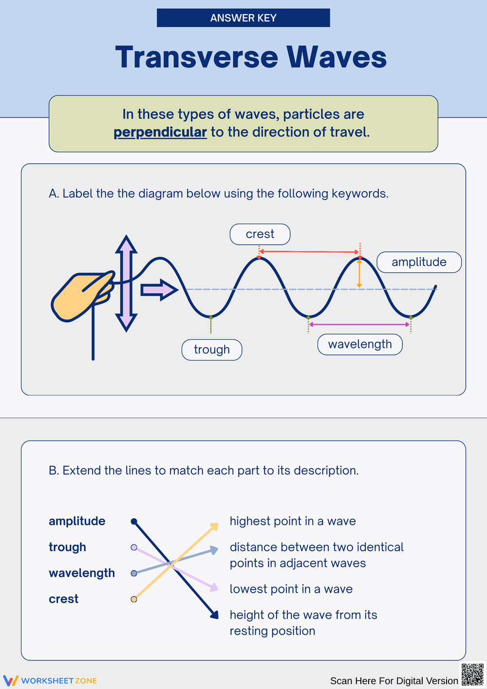Understanding Transverse Waves: Label and Match Activities - Page 2