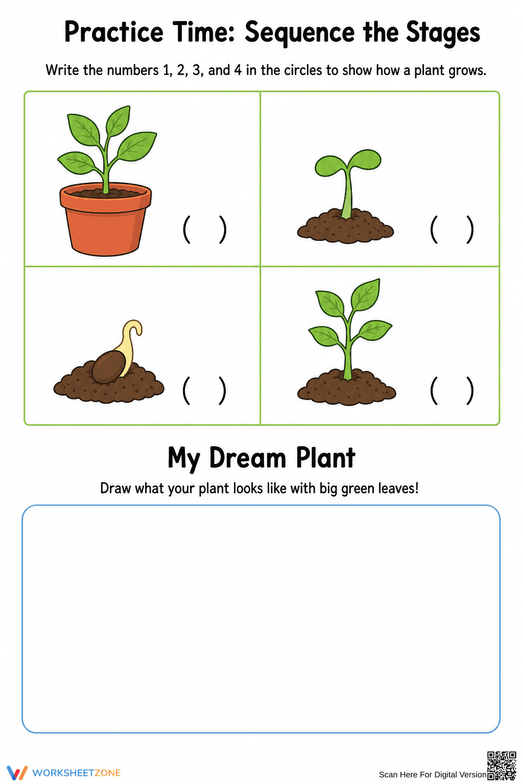 Printable Plant Life Cycle Worksheet | Grade K-1 Science - Page 2