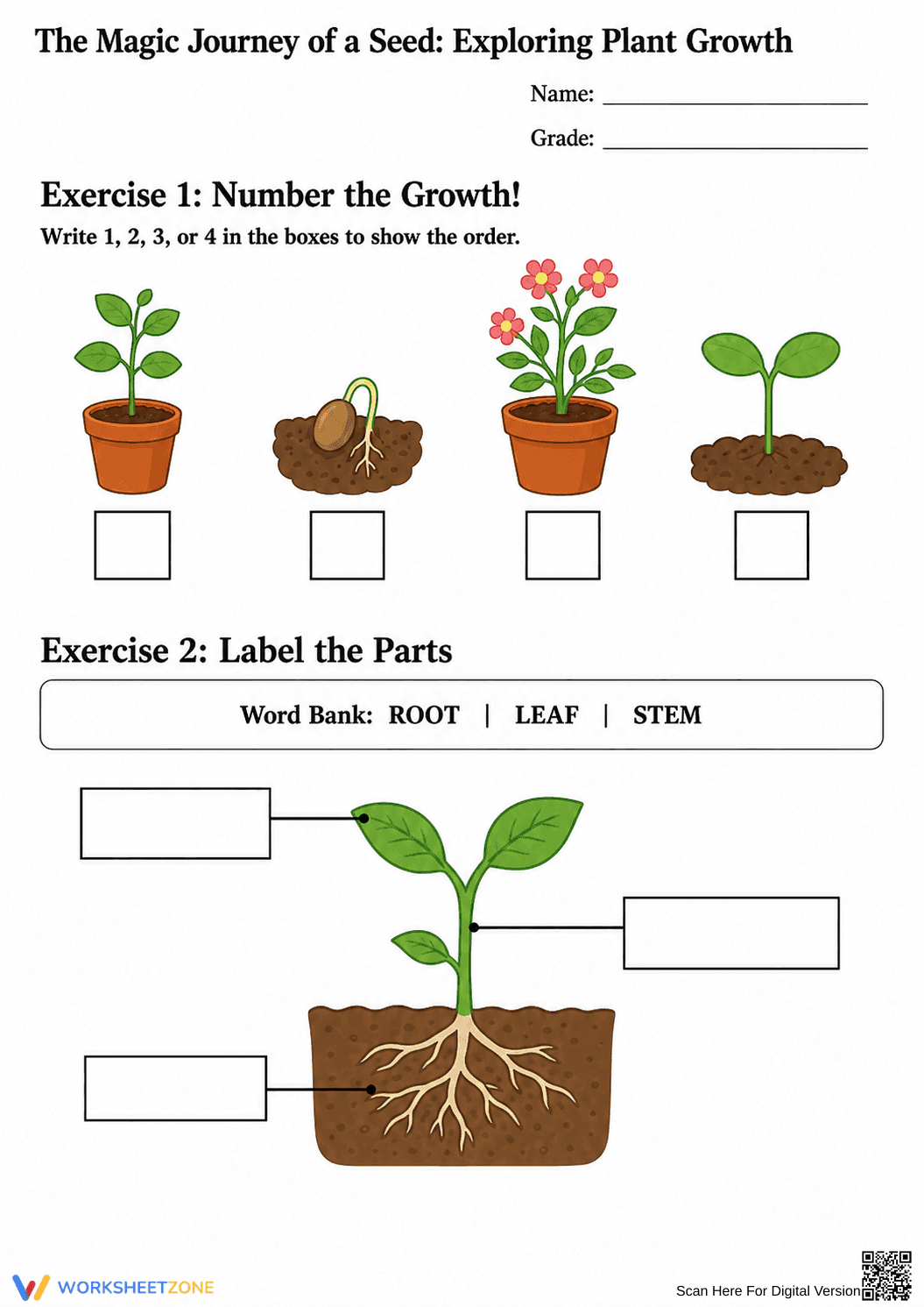 Seed Germination Worksheet | Grade K-2 Essential - Page 2
