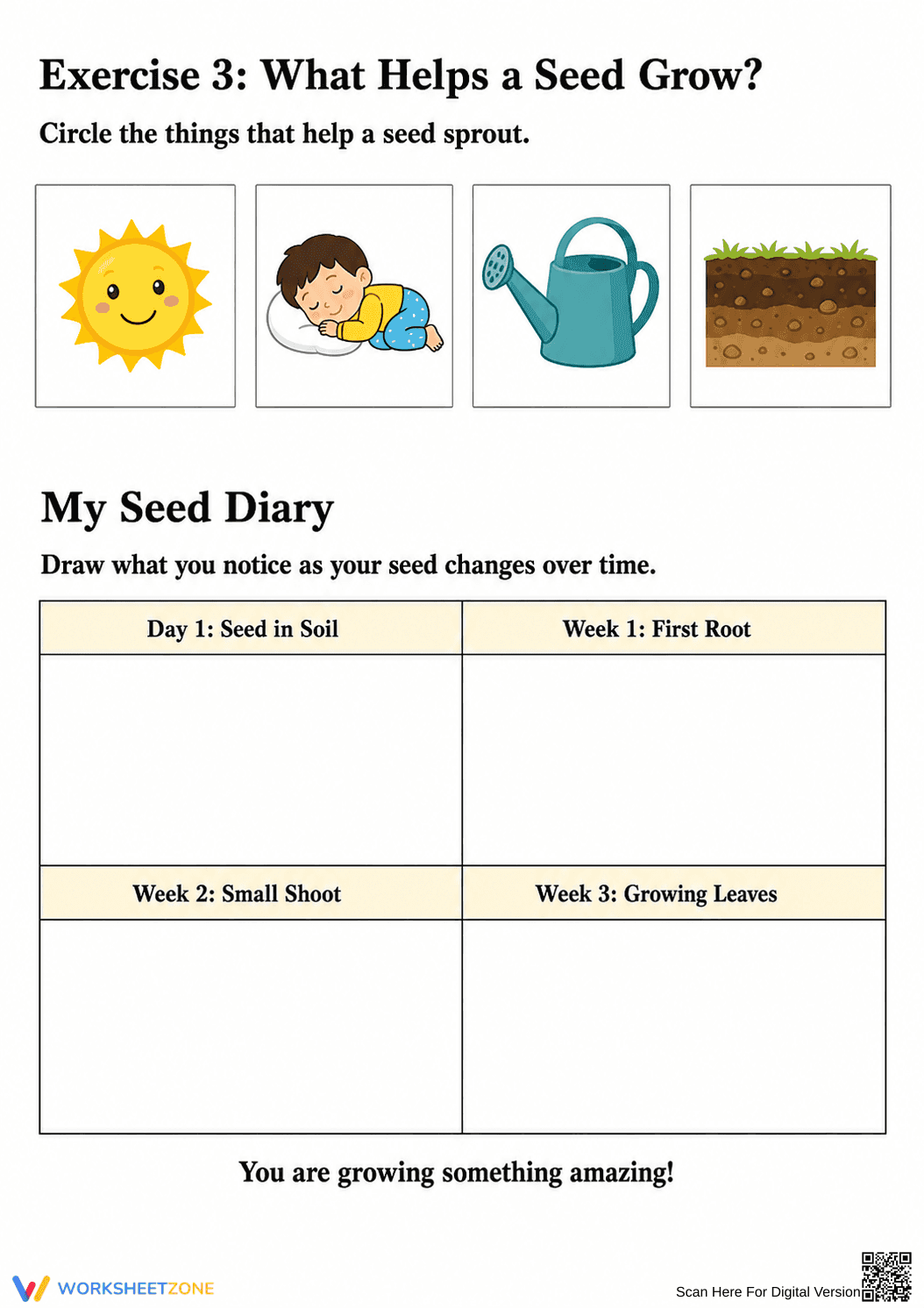 Seed Germination Worksheet | Grade K-2 Essential - Page 3