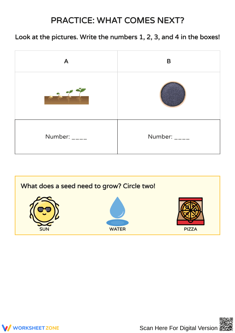 Understanding Seed Growth Stages and Planting Essentials - Page 2