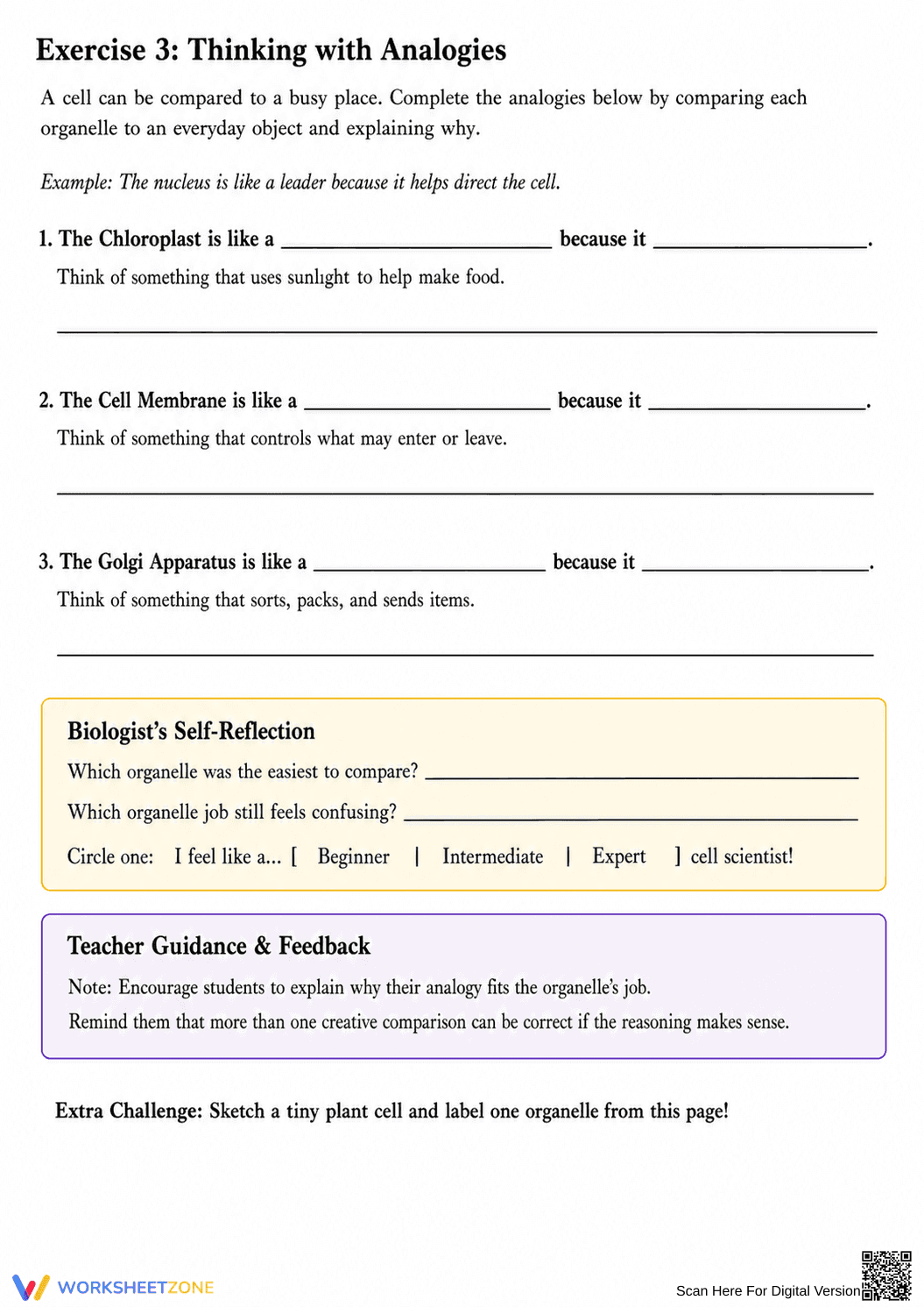 Printable Cell Organelles Worksheet | Grade 6 Science - Page 2