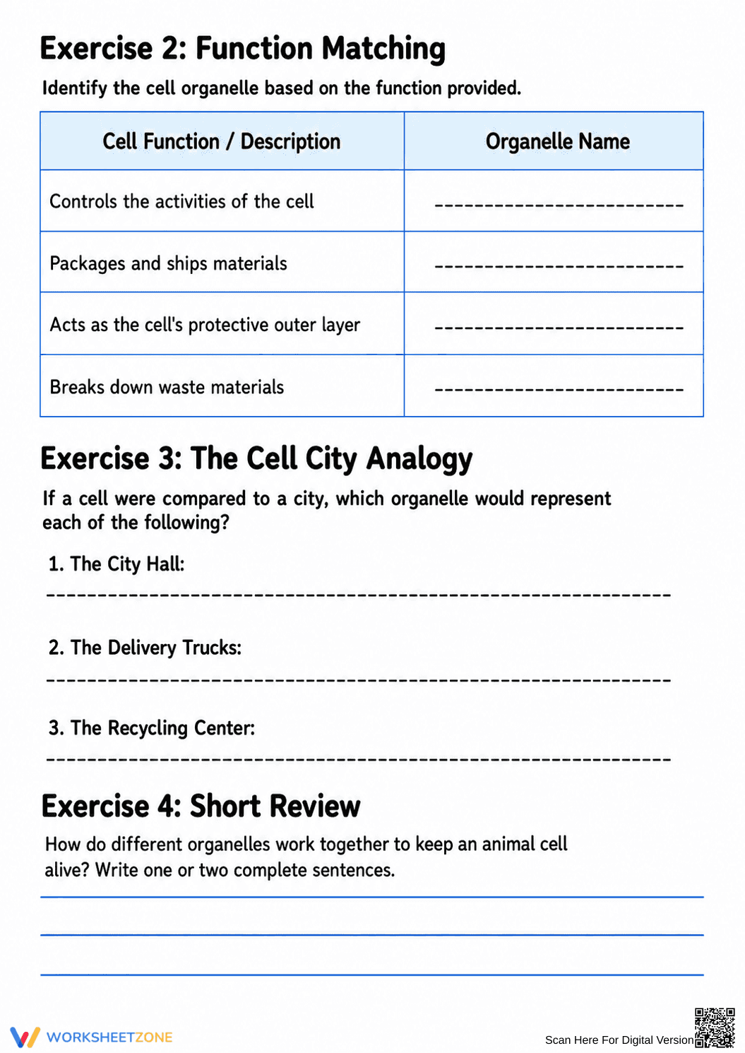 Essential Animal Cell Worksheet | Grades 5-7 Science - Page 2
