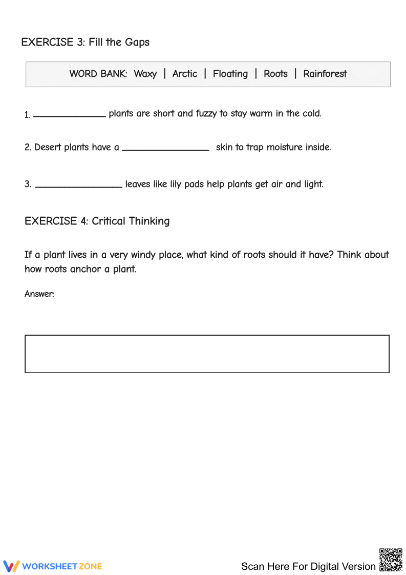 Plant Adaptations Worksheet - Page 2