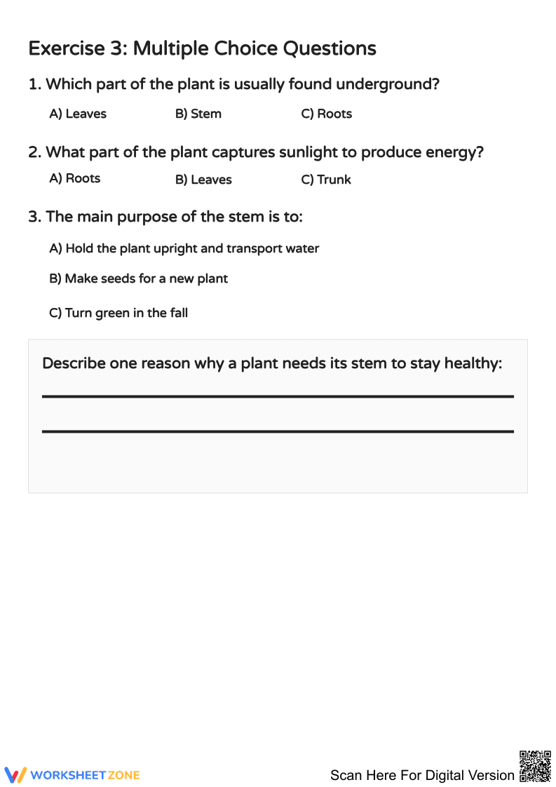 Exploring Plant Structures Worksheet - Page 2