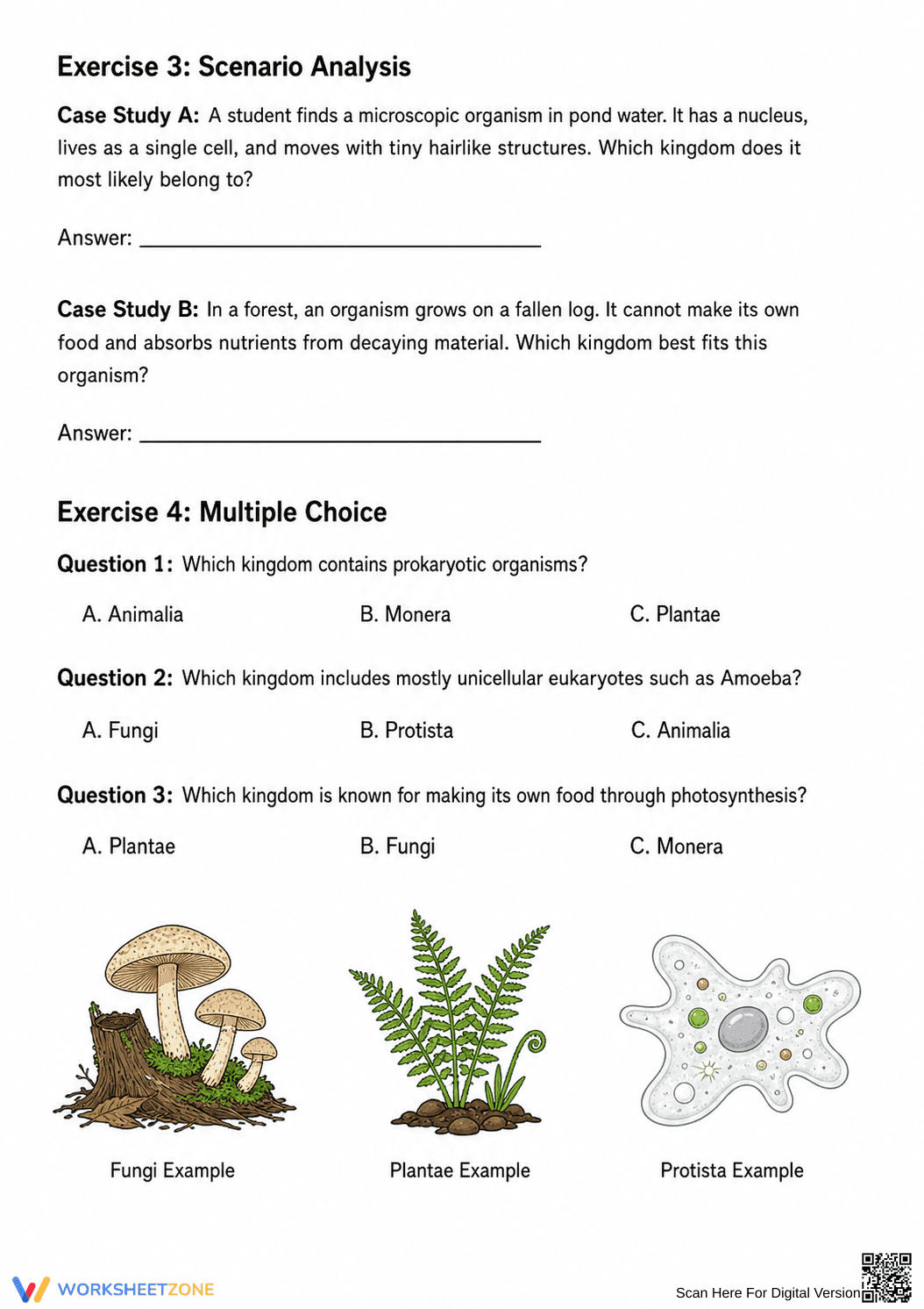 Biological Kingdoms Worksheet | Essential Grade 6-8 Science - Page 2