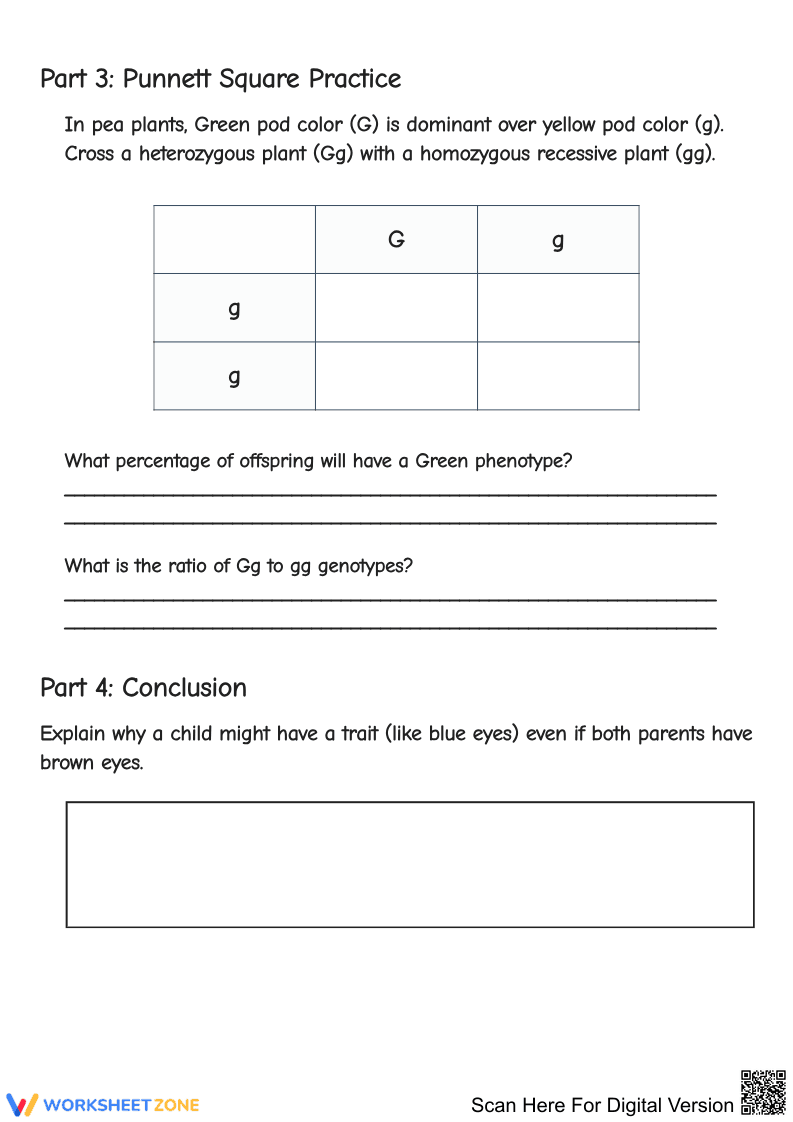 Inheritance and Trait Transmission Practice - Page 2
