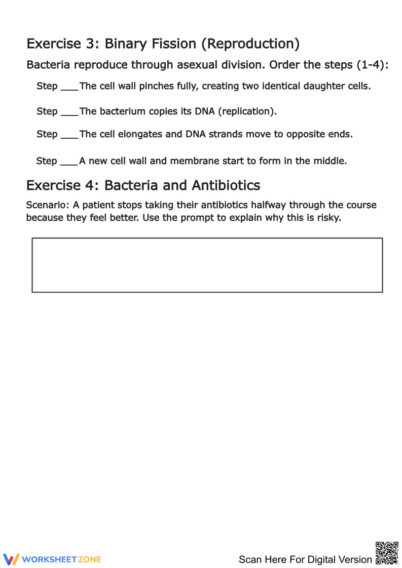 Exploring the World of Bacteria Worksheet - Page 2