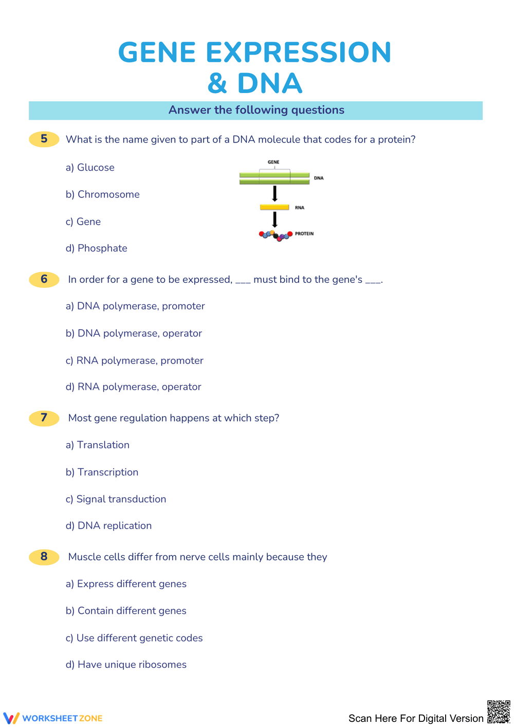 Understanding Gene Expression and DNA Basics - Page 2