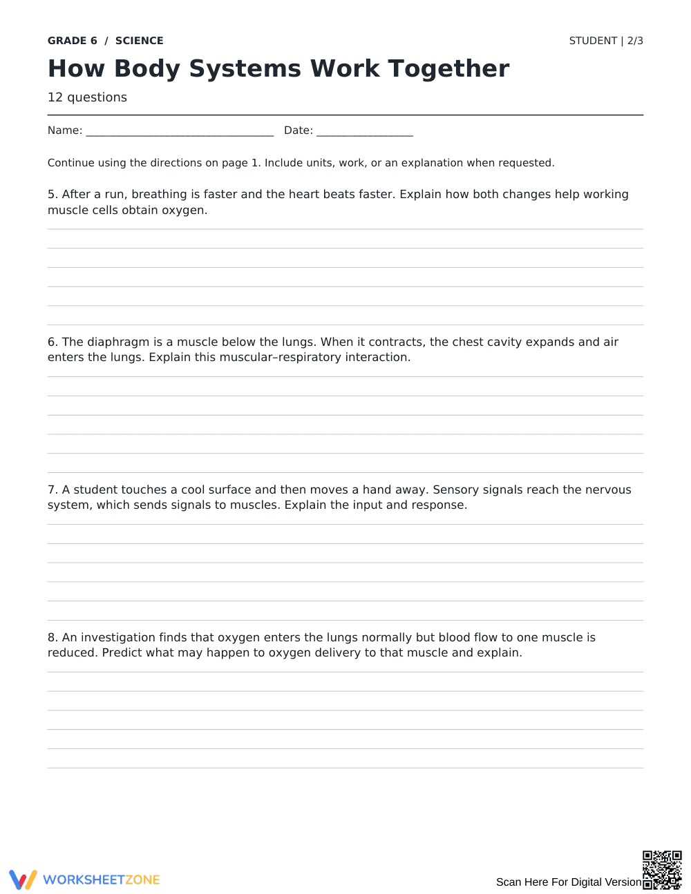 Body Systems Worksheet | Grade 6 Science Printable - Page 2