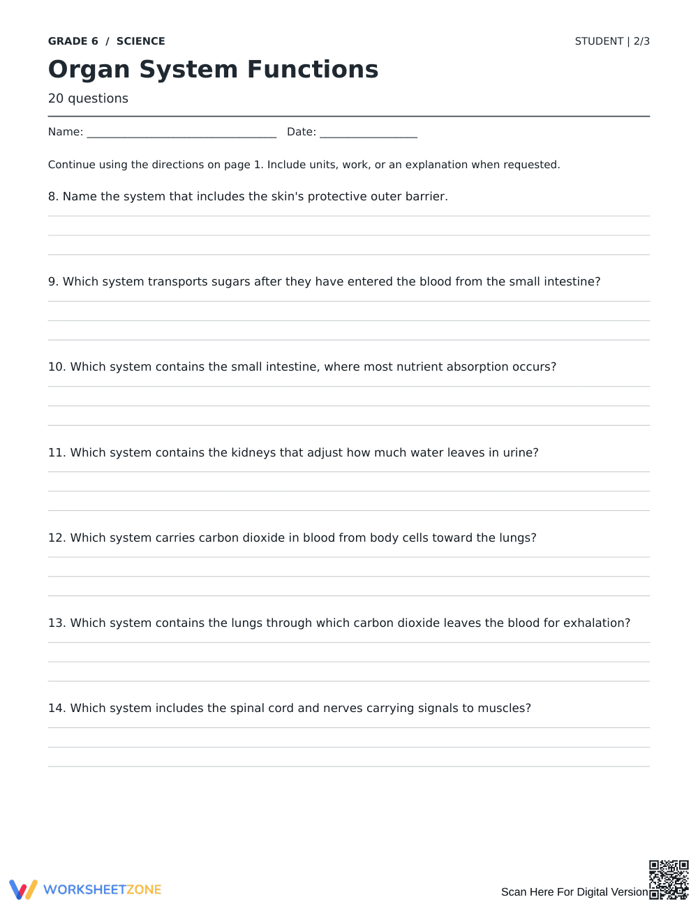 Organ System Functions Worksheet | Grade 6 Complete - Page 2