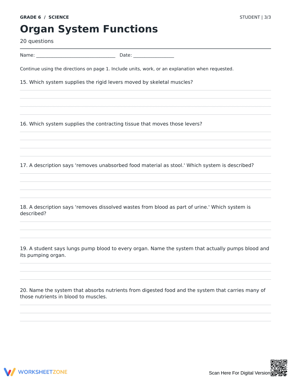 Organ System Functions Worksheet | Grade 6 Complete - Page 3
