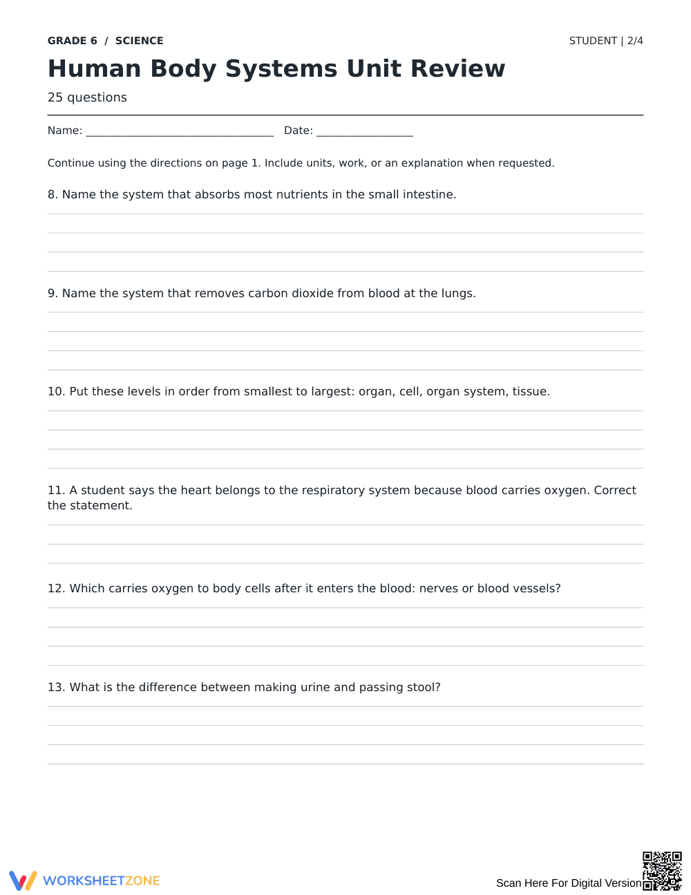 Human Body Systems Review Worksheet | Grade 6 Aligned - Page 2