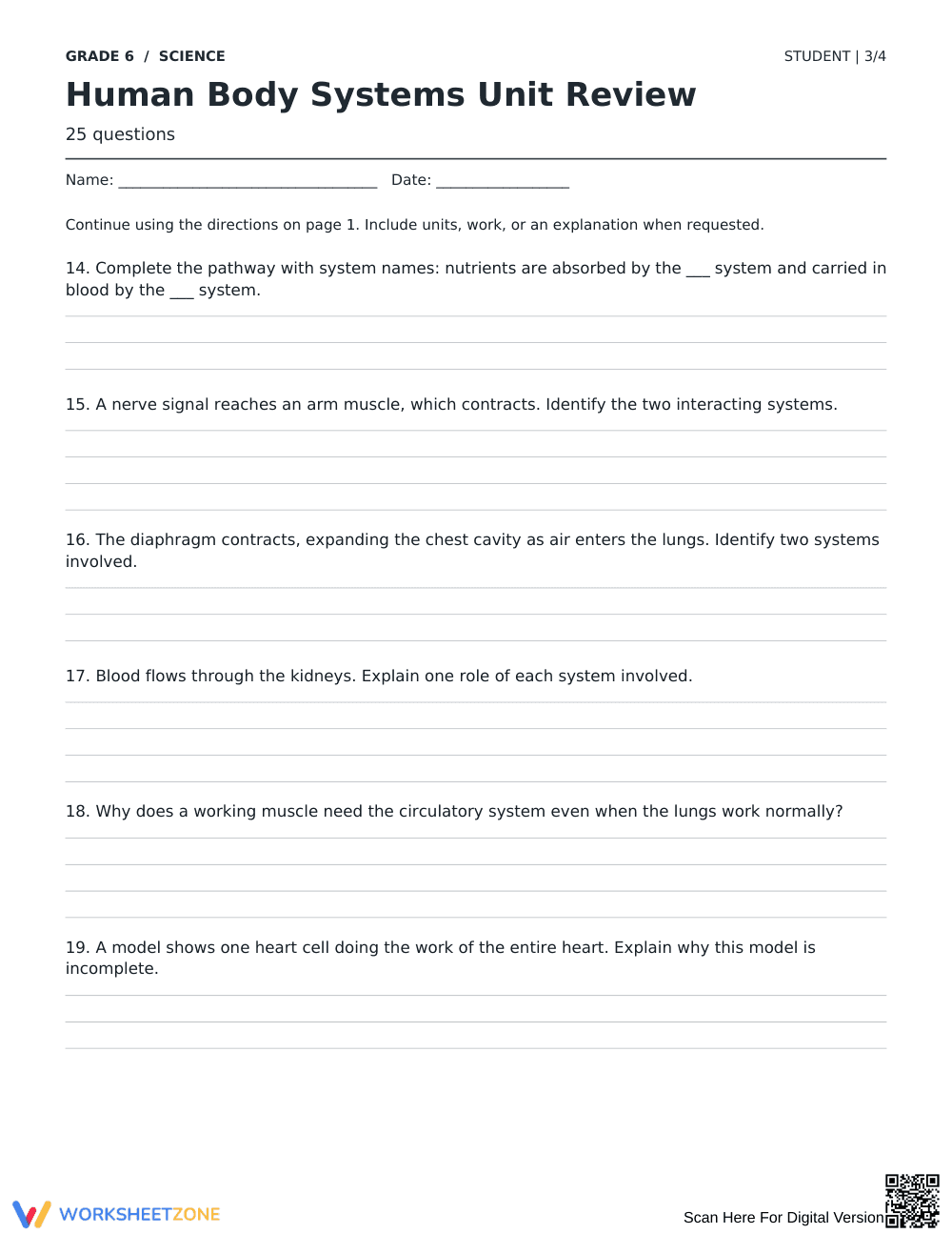 Human Body Systems Review Worksheet | Grade 6 Aligned - Page 3