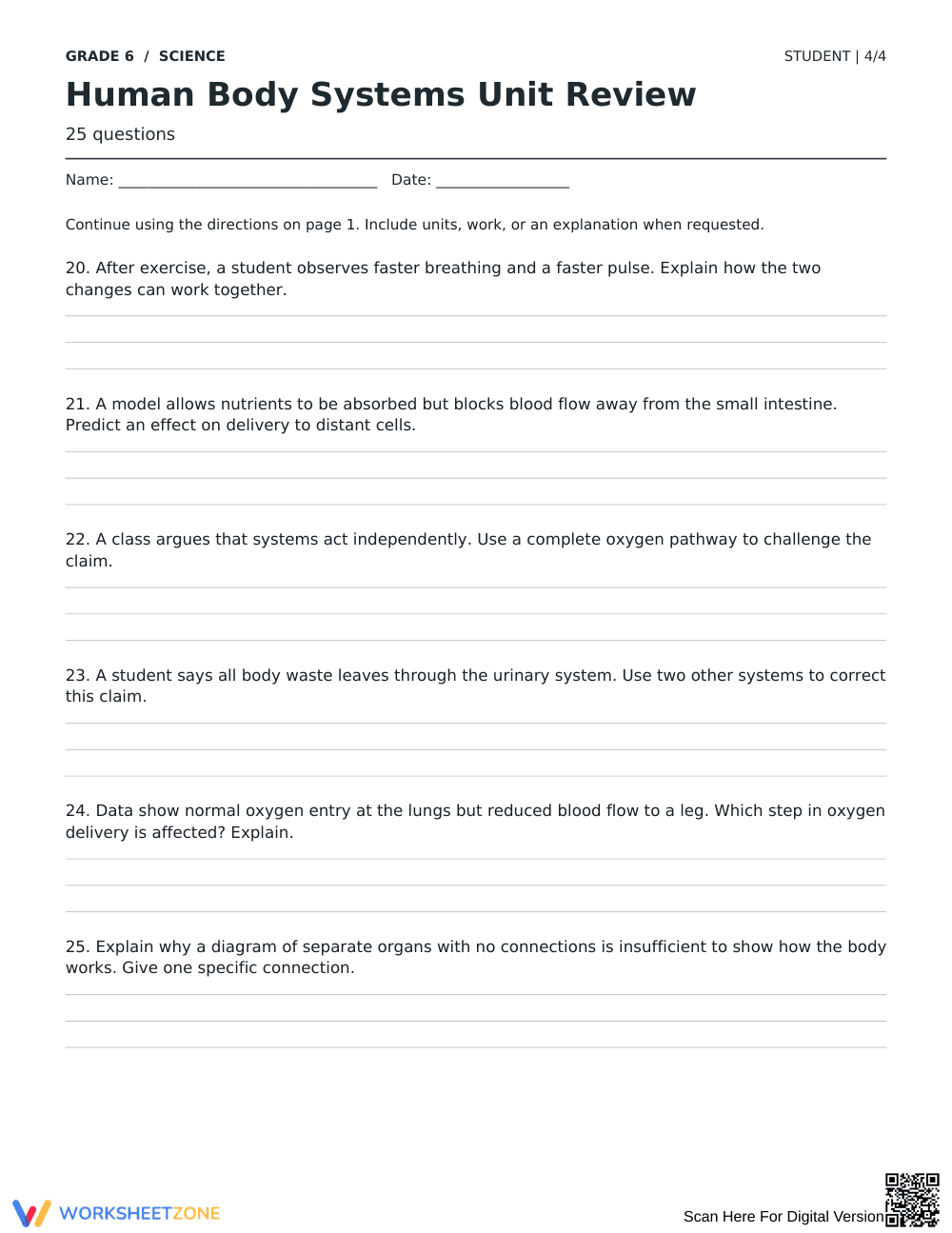 Human Body Systems Review Worksheet | Grade 6 Aligned - Page 4