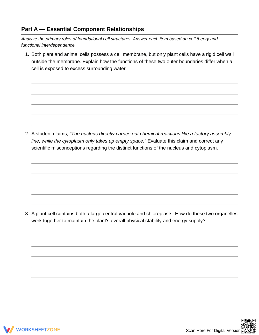 Essential Missing Cell Function Worksheet | Grade 6 Science - Page 2