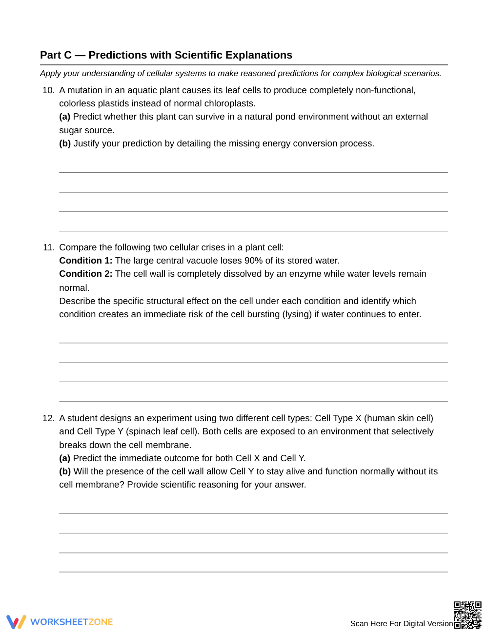 Essential Missing Cell Function Worksheet | Grade 6 Science - Page 5