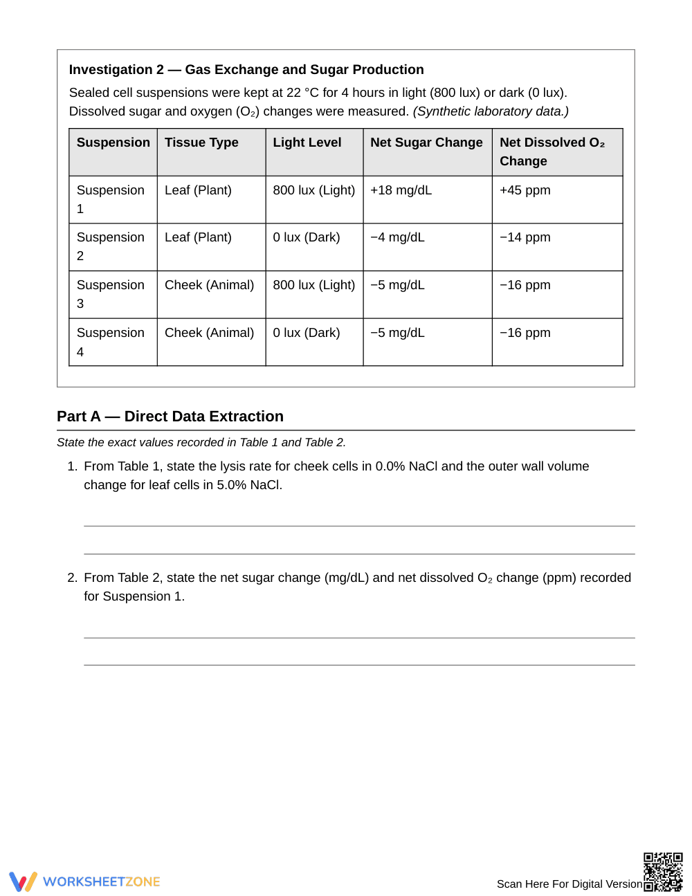 Essential Cell Function Data Worksheet | Grade 6 Science - Page 3