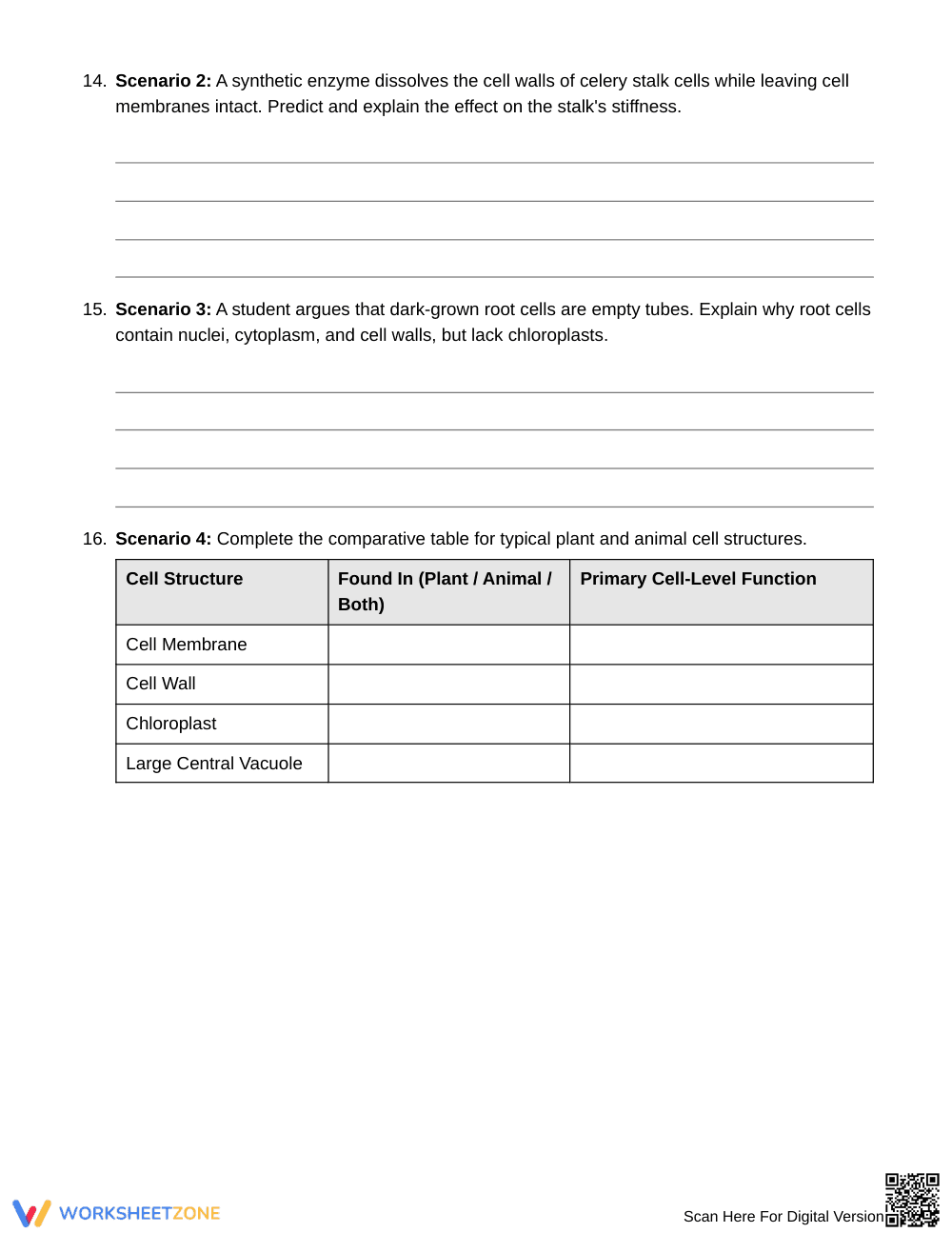 Essential Cell Structure Worksheet | Grade 6 Science - Page 5