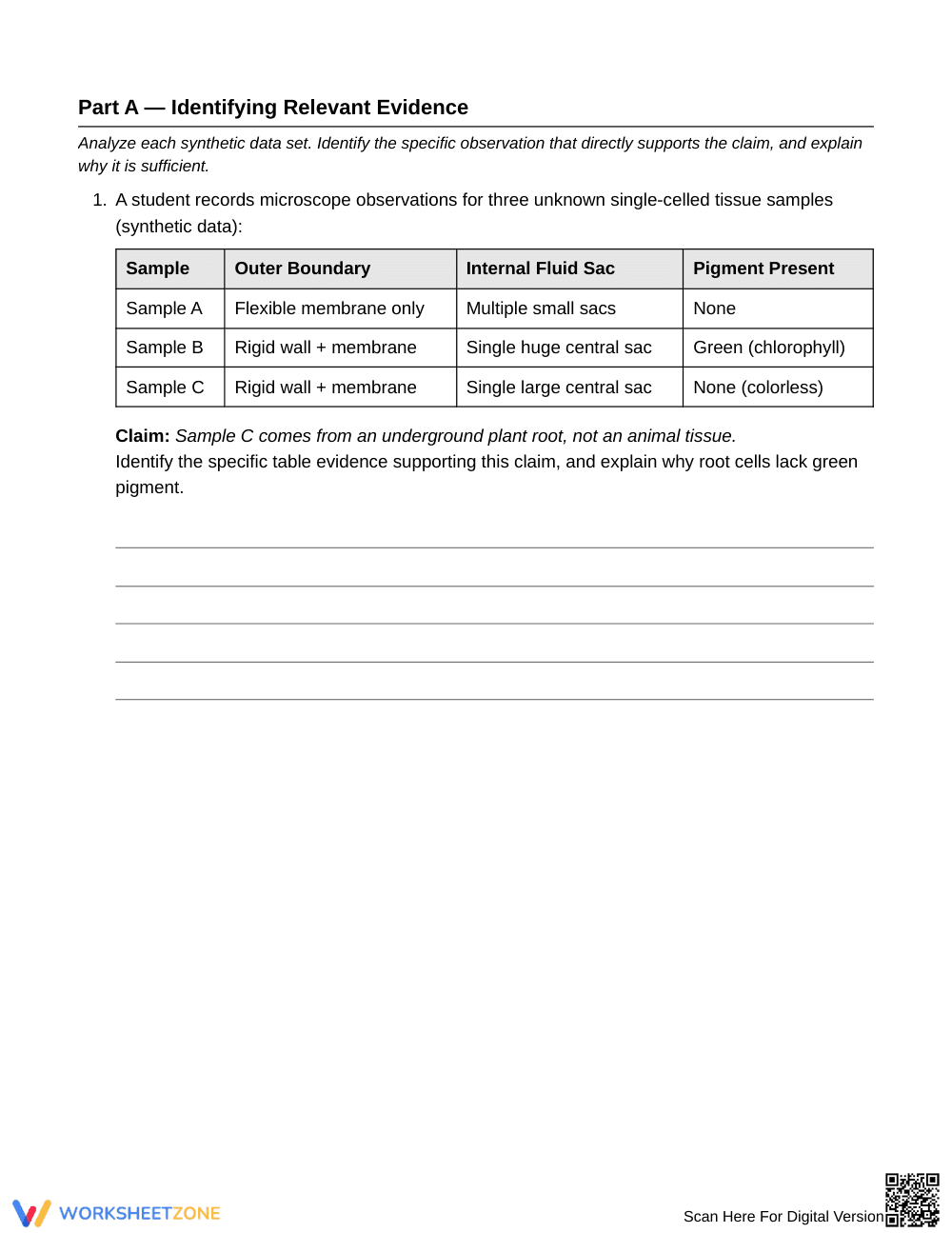 Proven Cell Structure-Function Worksheet | Grade 6 Science - Page 2