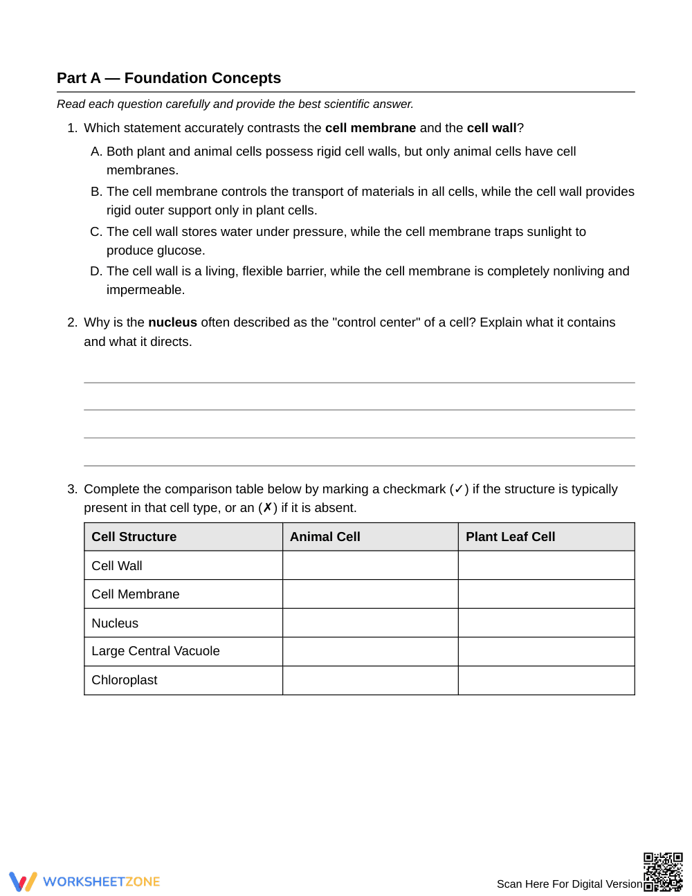 Essential Cell Functions Worksheet | Grade 6 Science - Page 2