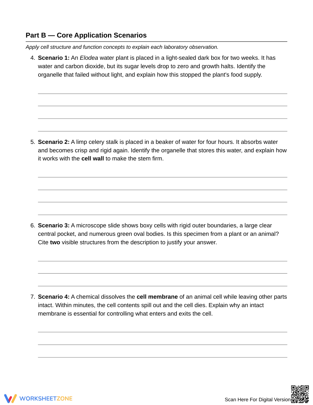 Essential Cell Functions Worksheet | Grade 6 Science - Page 3
