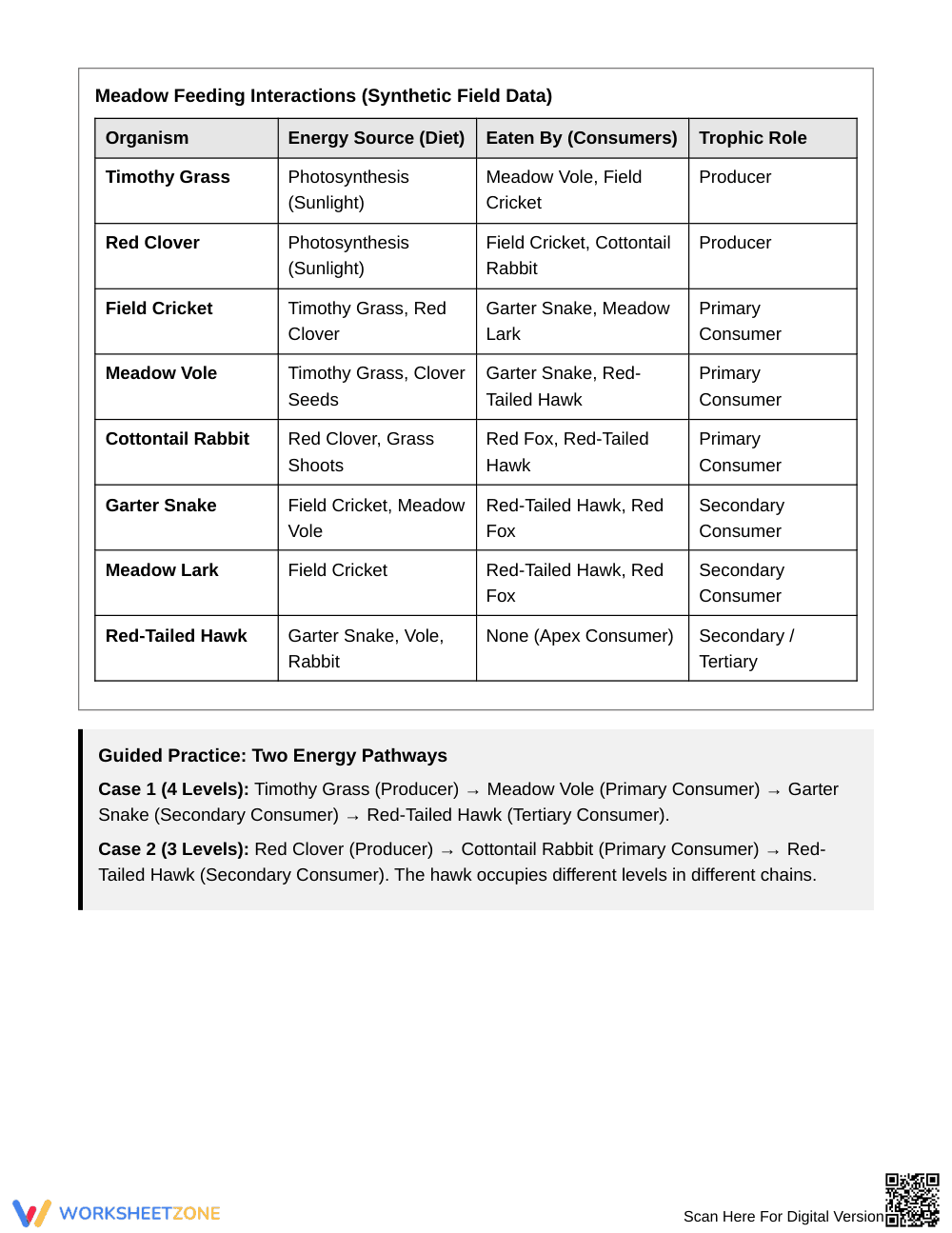 Complete Energy Paths Worksheet | Grade 6 Science - Page 2