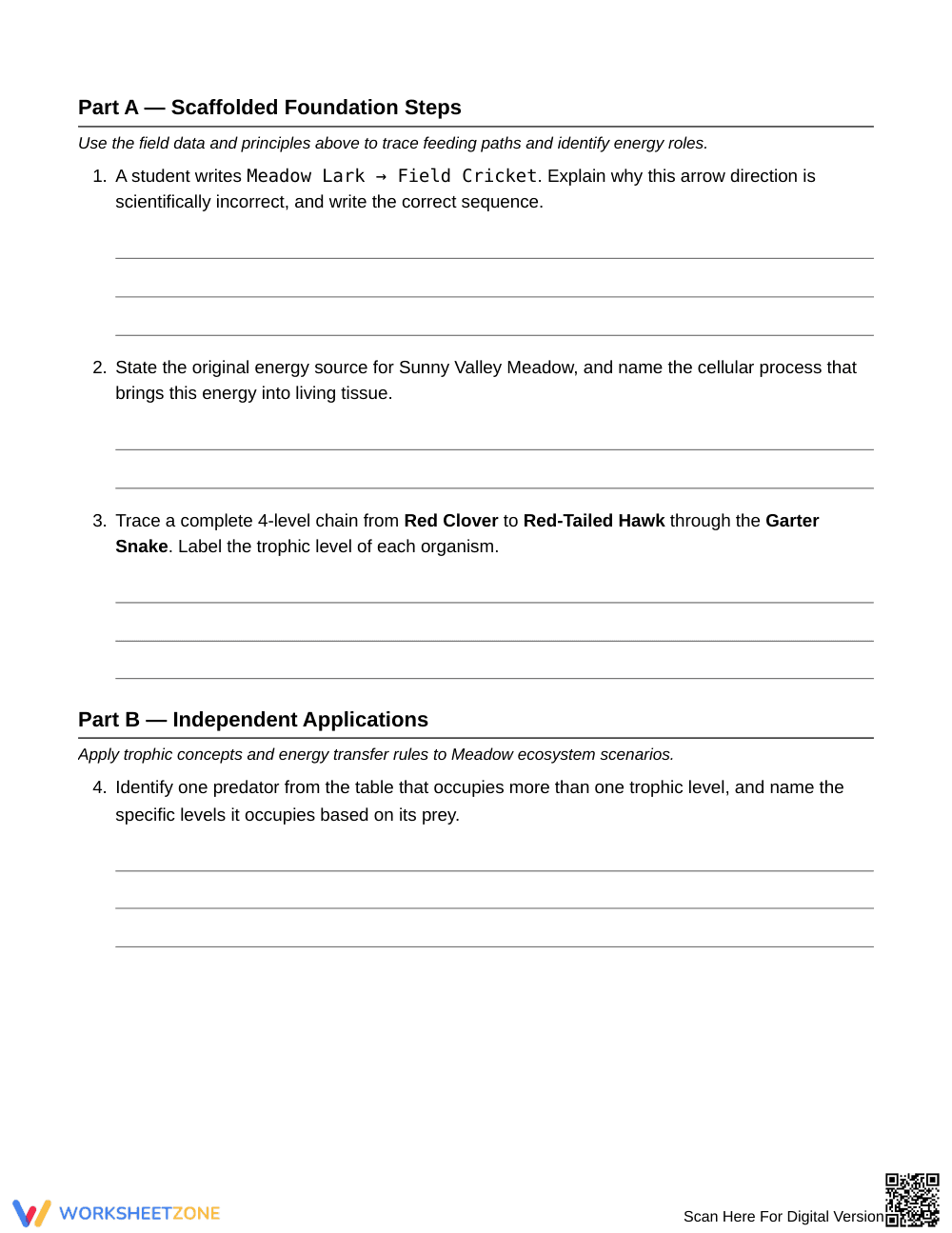 Complete Energy Paths Worksheet | Grade 6 Science - Page 3
