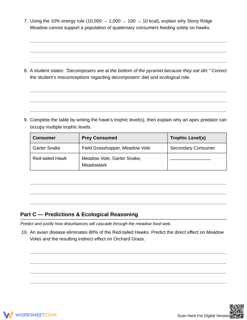 Complete Food Chains & Pyramids Worksheet | Grade 6 Science - Page 3