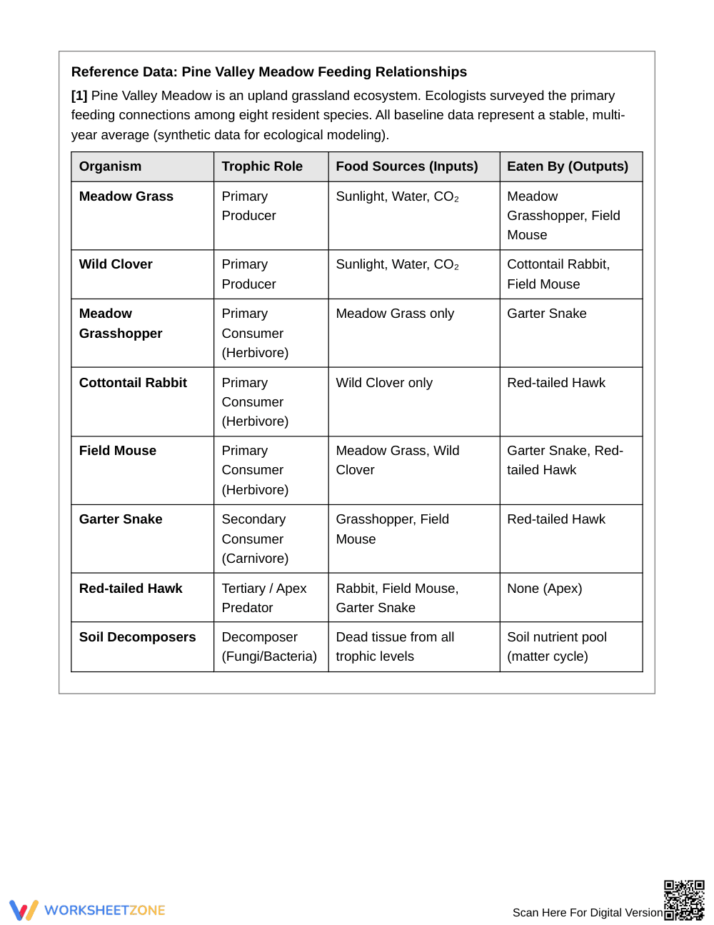 Complete Food Web Disruption Worksheet | Grade 6 Science - Page 2