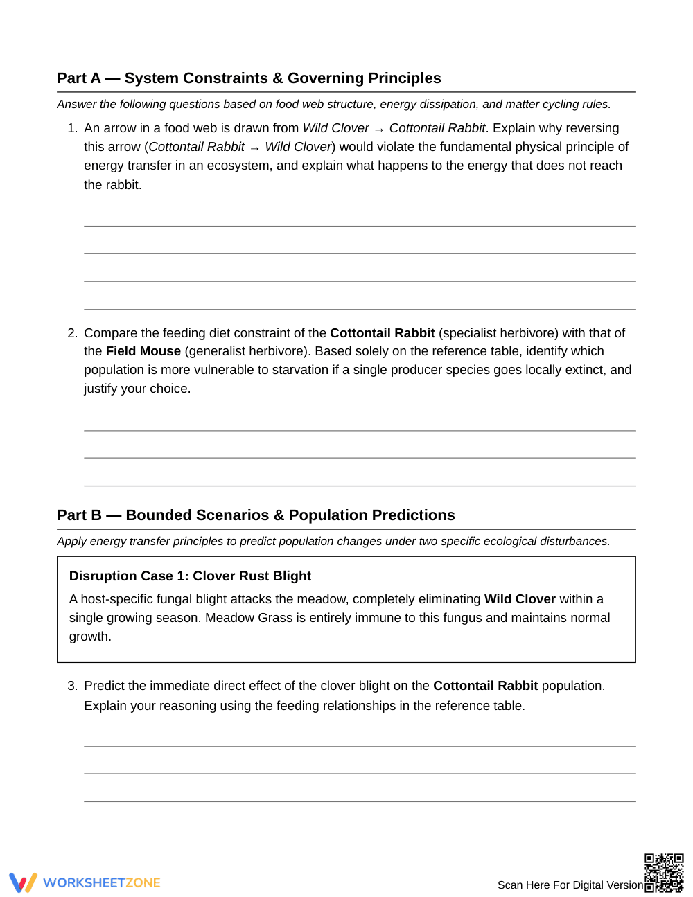Complete Food Web Disruption Worksheet | Grade 6 Science - Page 3