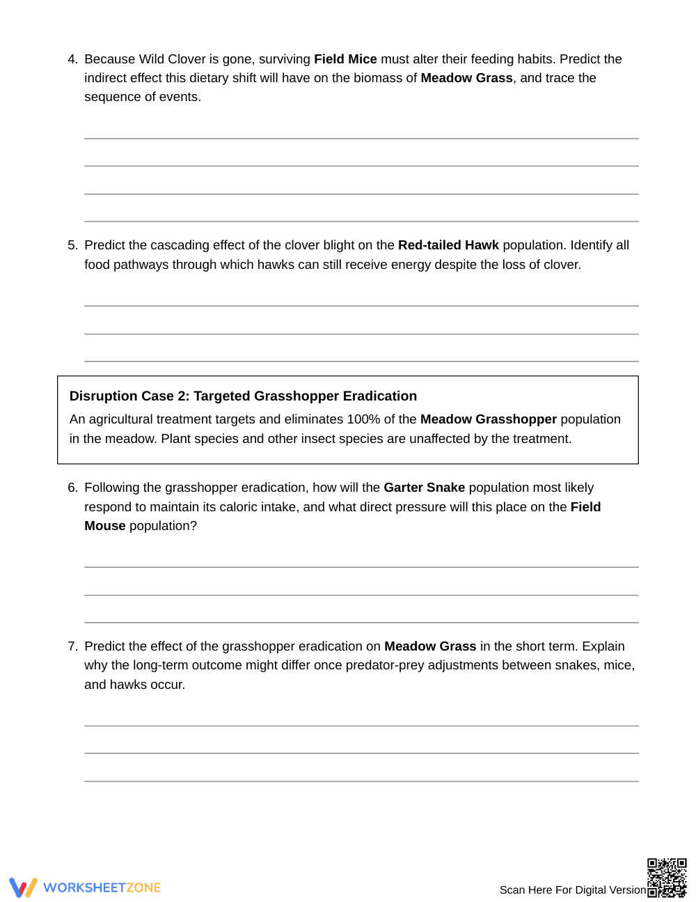 Complete Food Web Disruption Worksheet | Grade 6 Science - Page 4