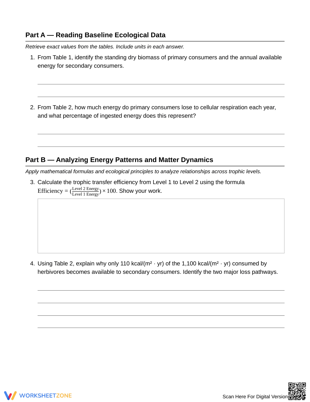 Essential Trophic Energy Worksheet | Grade 6 Science - Page 3