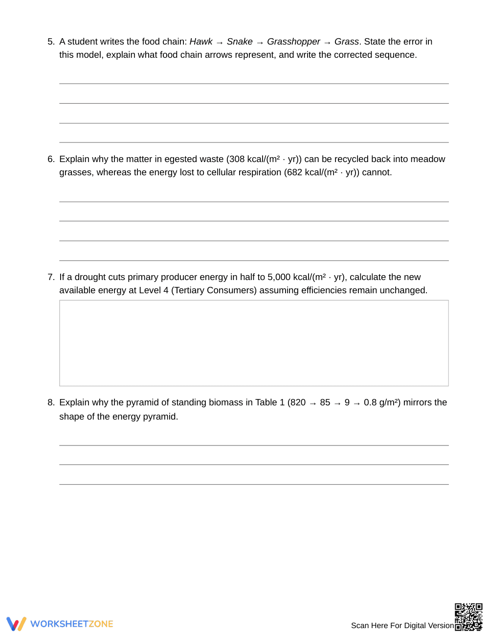 Essential Trophic Energy Worksheet | Grade 6 Science - Page 4