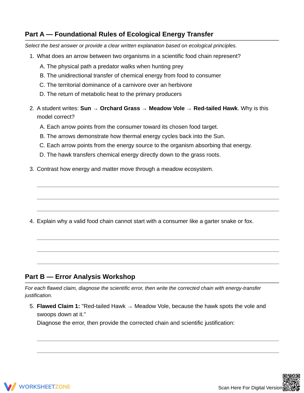 Essential Food Chain Arrows Worksheet | Grade 6 Science - Page 2