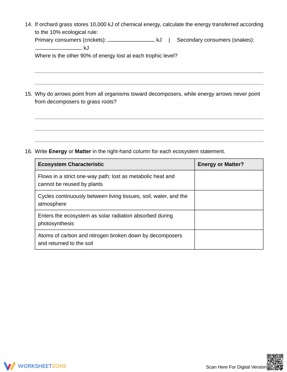 Essential Food Chain Arrows Worksheet | Grade 6 Science - Page 5