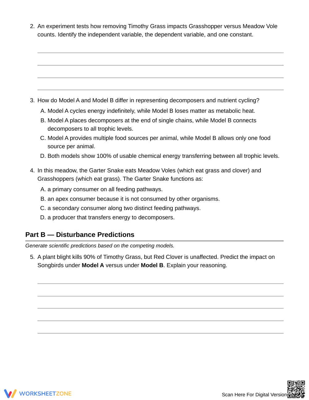 Proven Food Chain & Web Models Worksheet | Grade 6 Science - Page 2