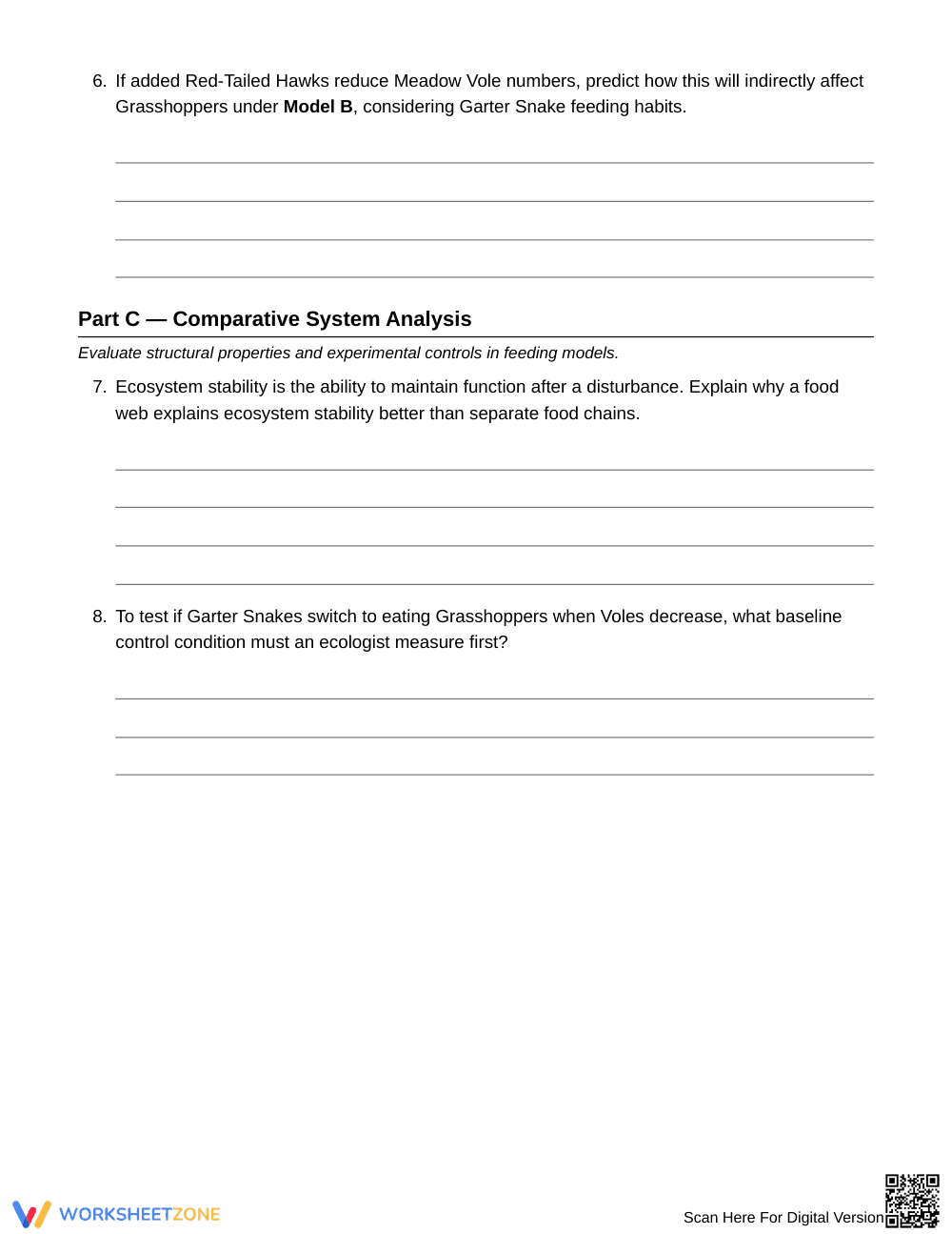 Proven Food Chain & Web Models Worksheet | Grade 6 Science - Page 3