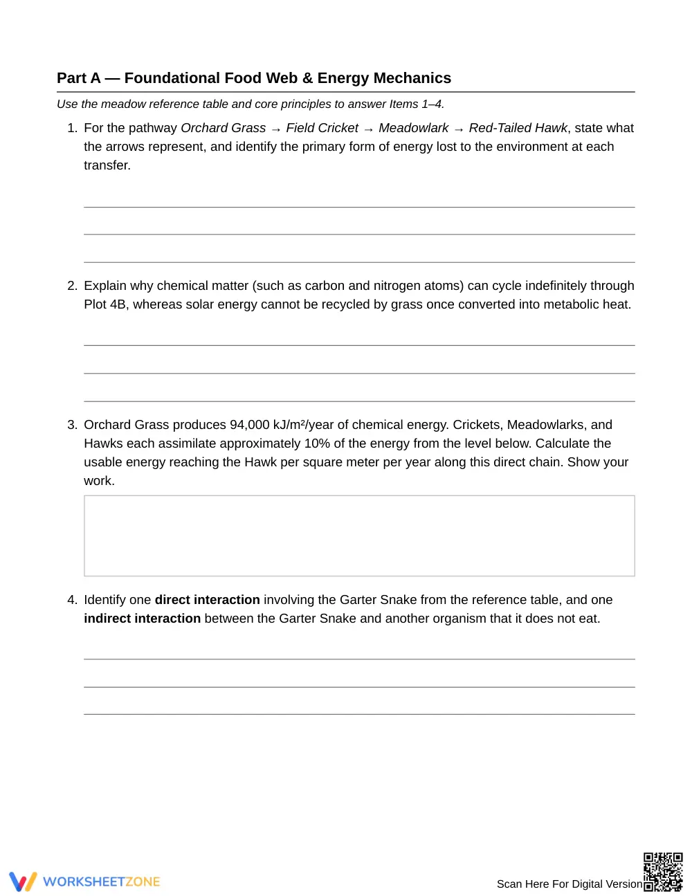 Printable Food Web Cascades Worksheet | Grade 6 Science - Page 3