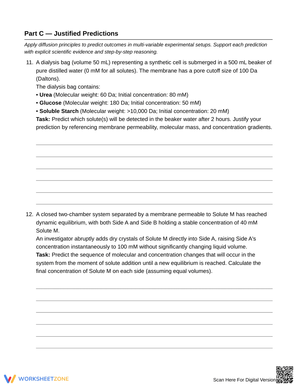 Complete Diffusion & Transport Worksheet | Grade 7 Science - Page 5