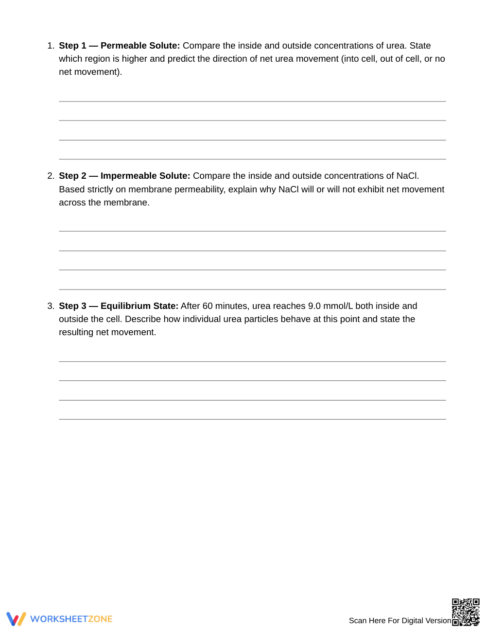 Essential Net Particle Movement Worksheet | Grade 7 Science - Page 2