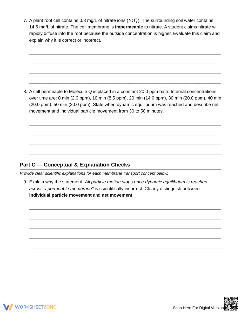 Essential Net Particle Movement Worksheet | Grade 7 Science - Page 4