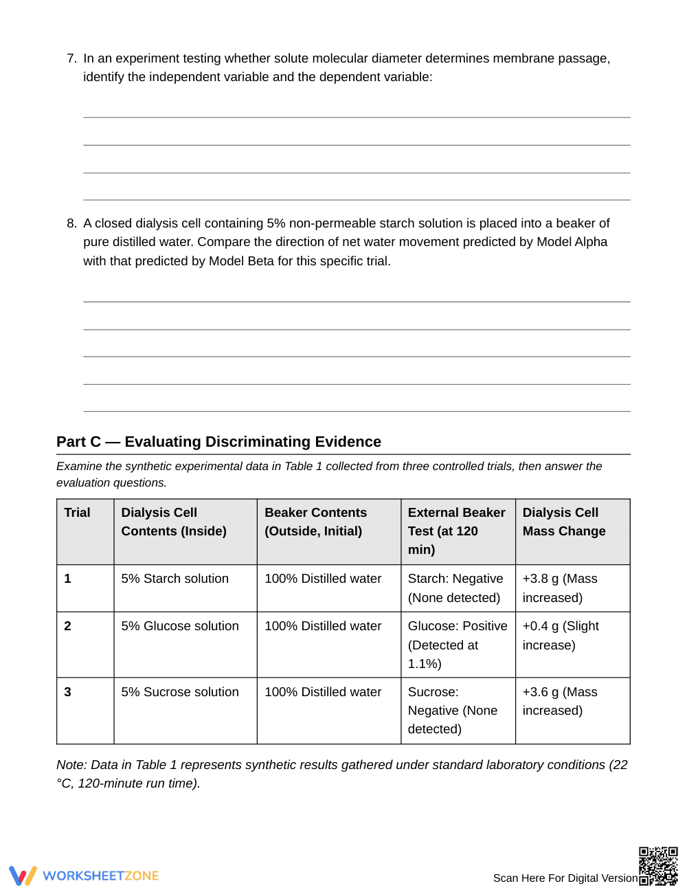 Essential Permeability Models Worksheet | Grade 7 Science - Page 4