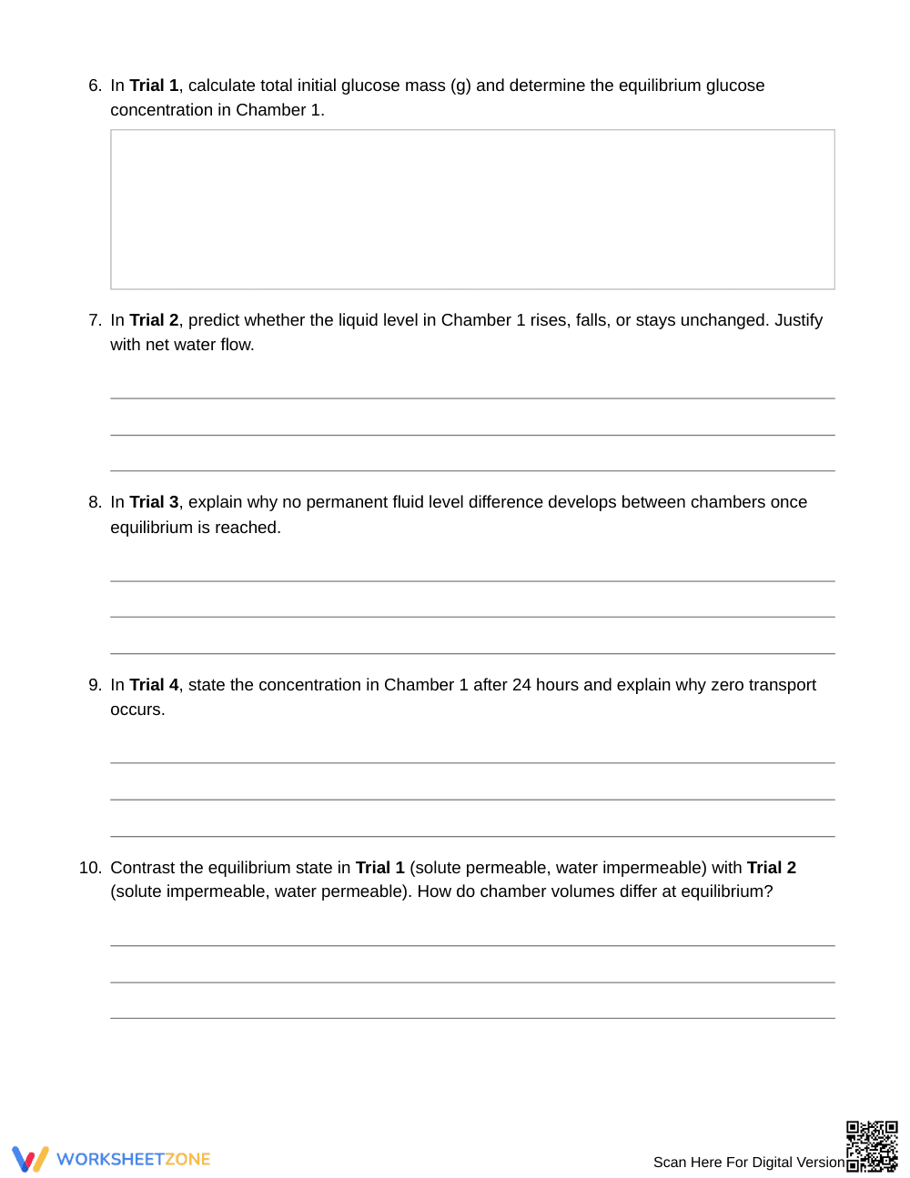 Complete Selective Permeability Worksheet | Grade 7 Science - Page 3