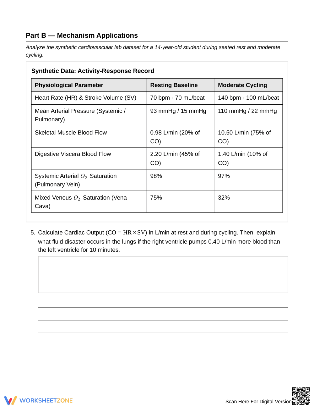 Complete Dual Circulation Worksheet | Grade 8 Science - Page 3