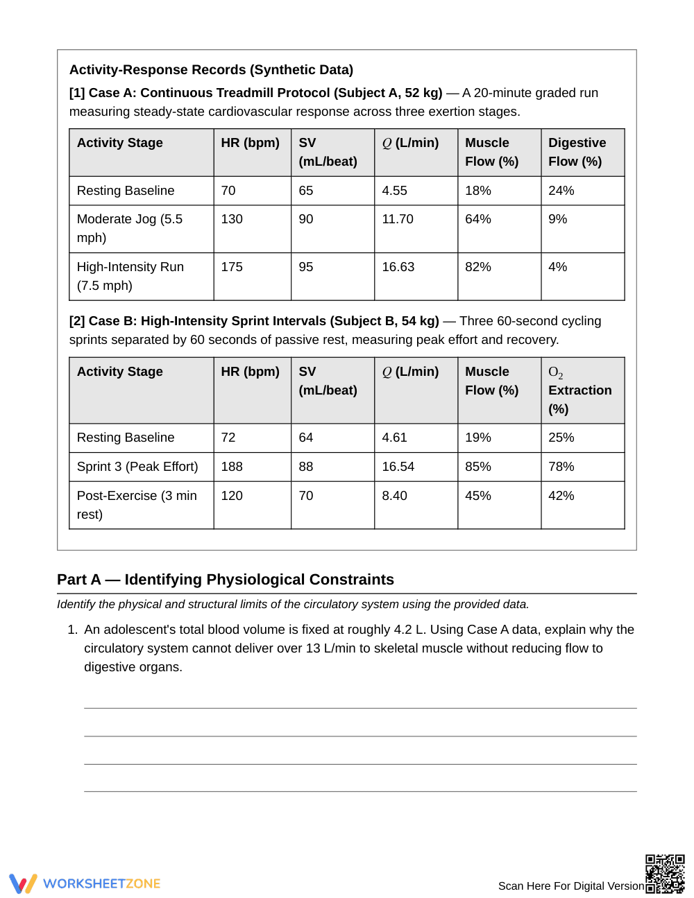 Essential Circulatory Demand Worksheet | Grade 8 Science - Page 2