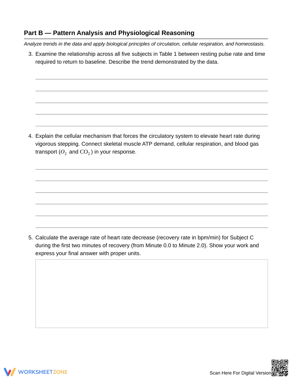 Ready Pulse and Recovery Data Worksheet | Grade 8 Science - Page 3