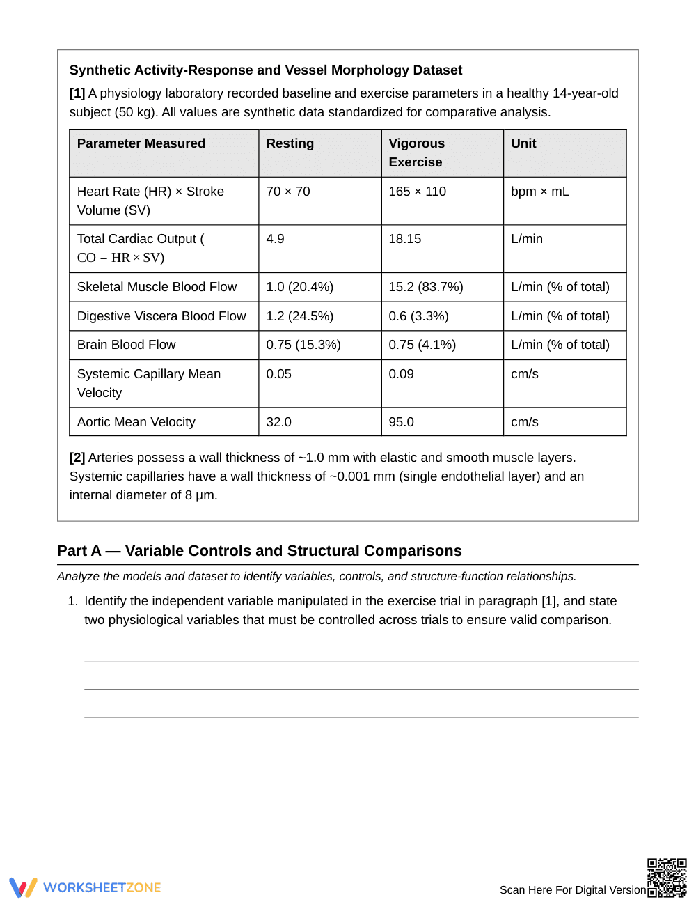 Essential Circulation Models Worksheet | Grade 8 Science - Page 2